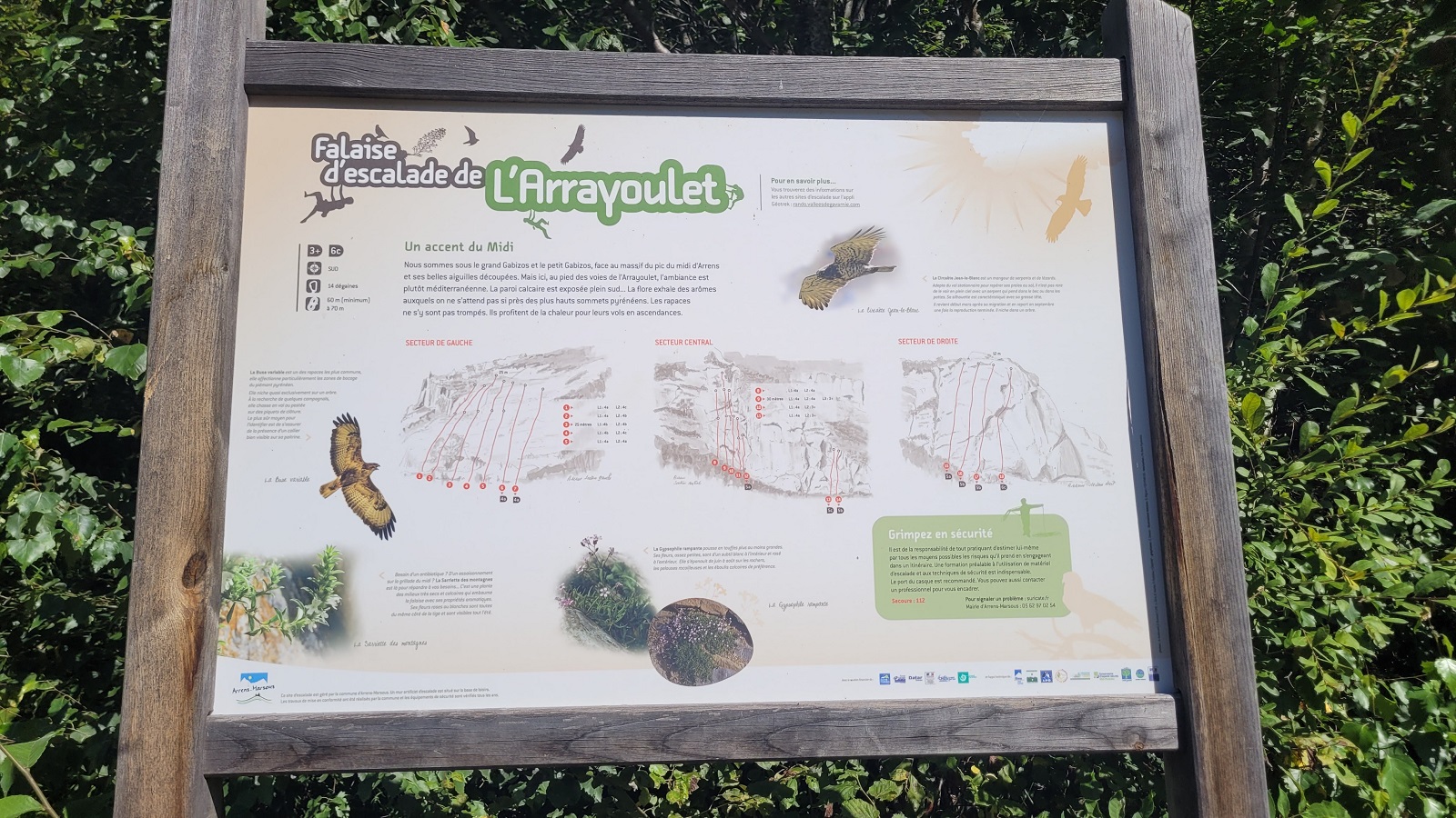 Photo du panneau indicatif sur la falaise d'Arrayoulet. Il y a des images d'oiseaux et on devine des informations sur les voies.