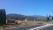 2015-08-21_10.36.09.jpg