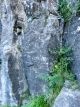 IMG_2694.jpg