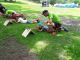 20170610_150907_web.jpg