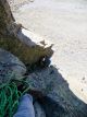 IMG_1386.jpg
