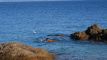 corse_kayak_0028.jpg