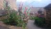 2016-07-30_16.06.22.jpg