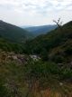 20160818_114457.jpg