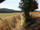 20160818_133601.jpg