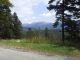 20150804_142731.jpg