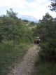 20150805_152938.jpg