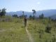 20150807_131557.jpg