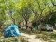 2022-05-27_camping.jpg