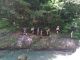 2022-05-28_13.07.48.jpg
