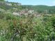 DSCN0076.JPG