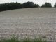 DSCN0135.JPG