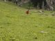 VS_ariege20_27.JPG