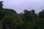 IMAG0253.jpg