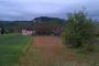 IMAG0261.jpg