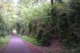 IMAG0267.jpg