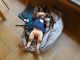 2017-05-26_13.25.55.jpg