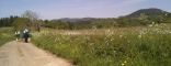 20140608_151035.jpg