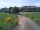 20140609_121231.jpg