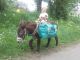 20140609_144324.jpg
