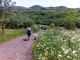 Auvergne7.jpg