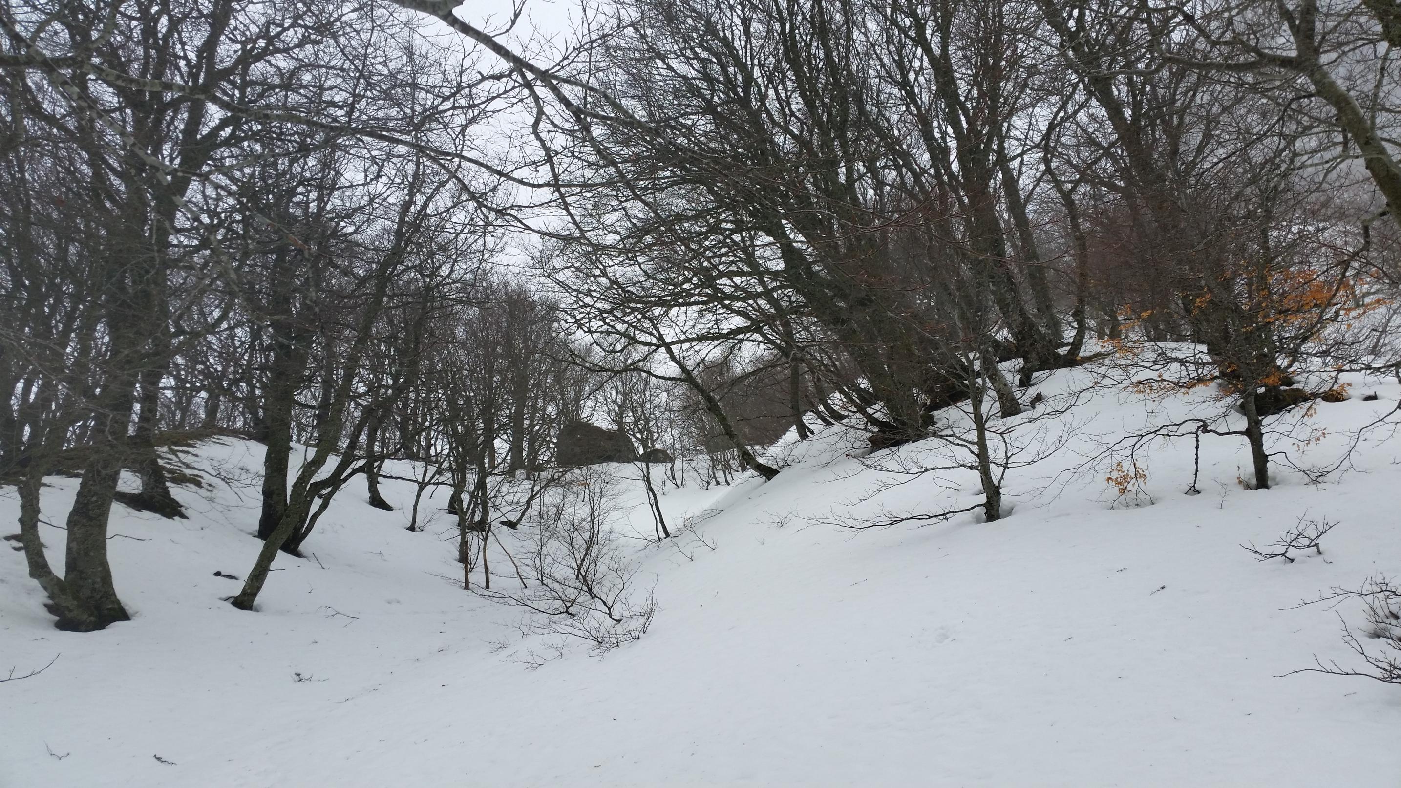 20160223 115421