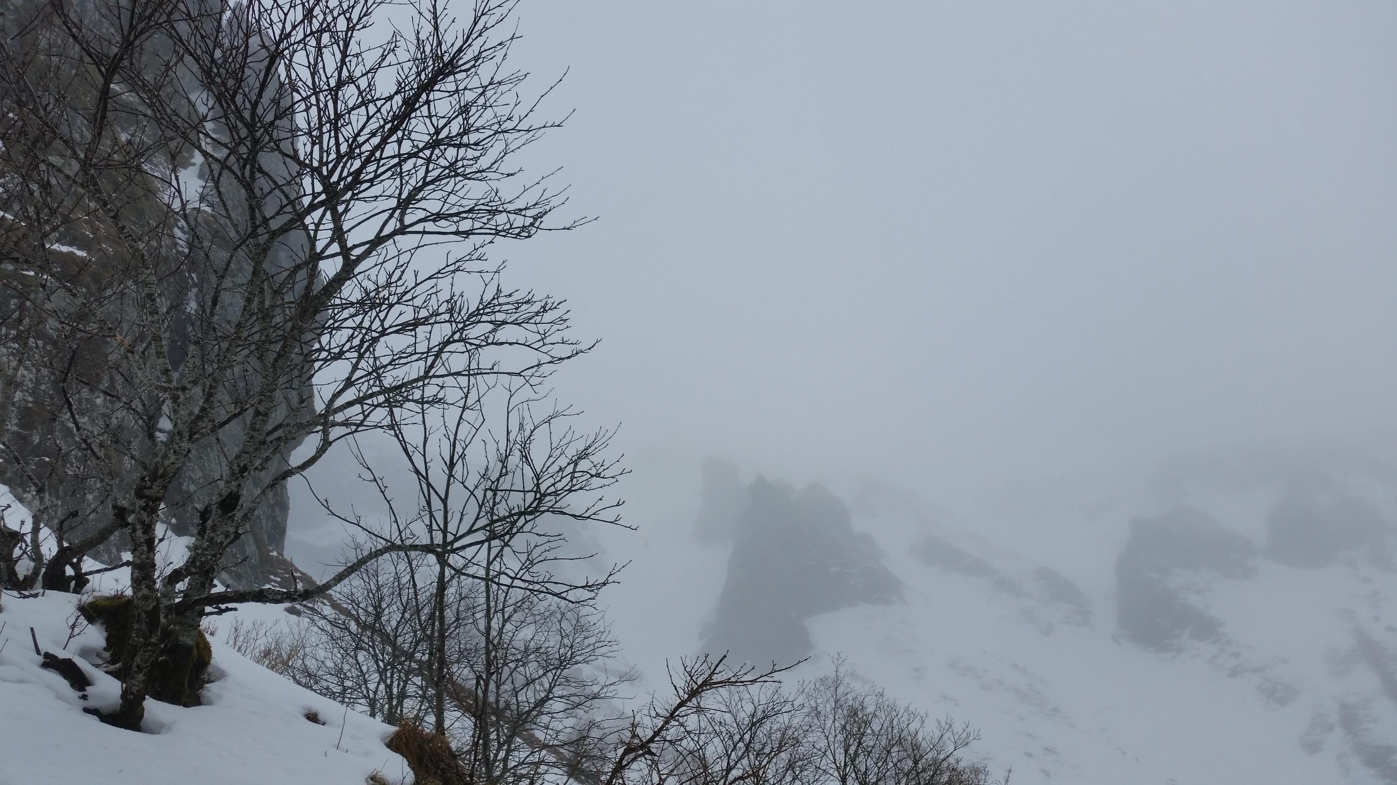 20160223 121020