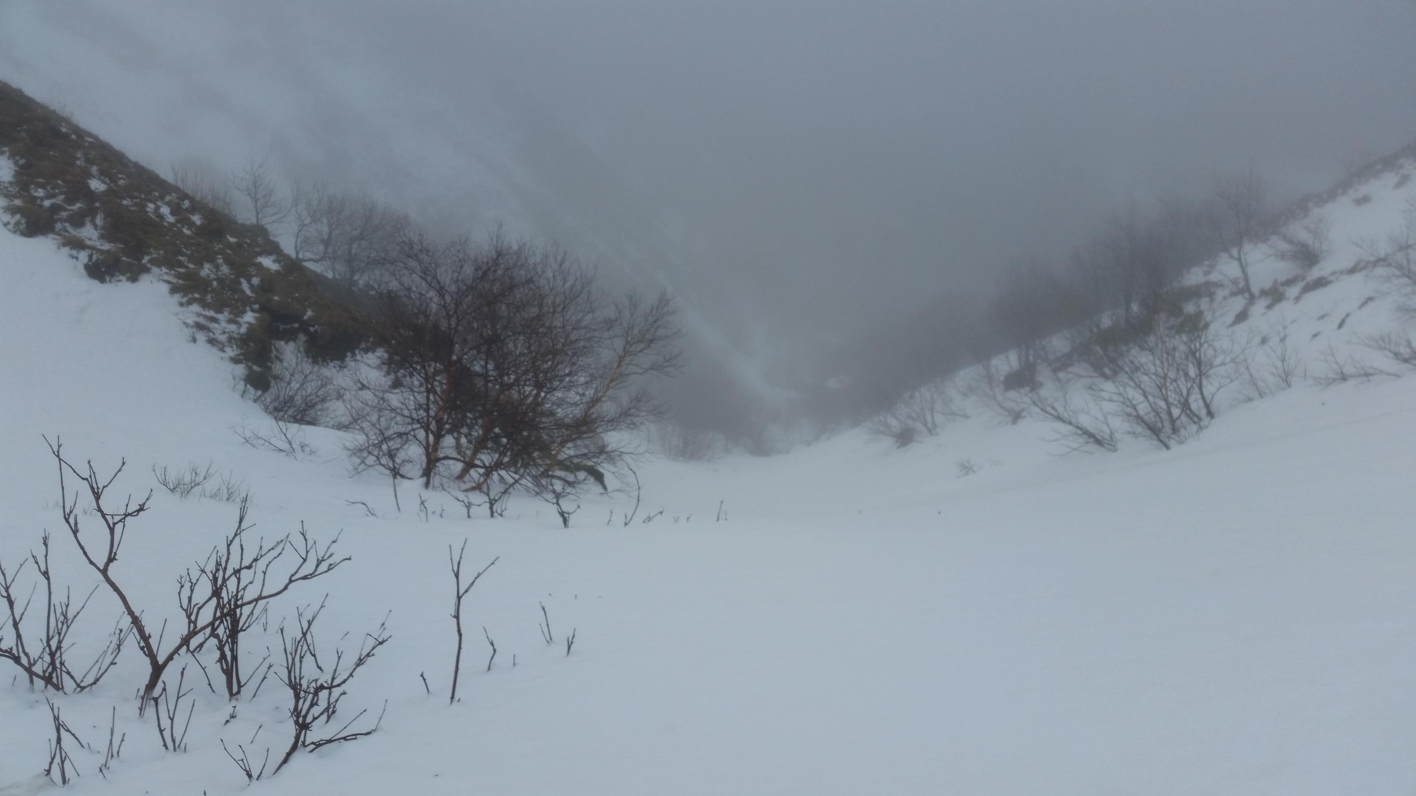 20160223 132435