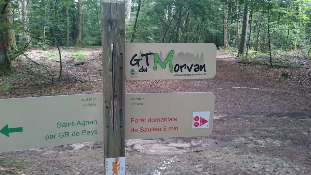 gtm00