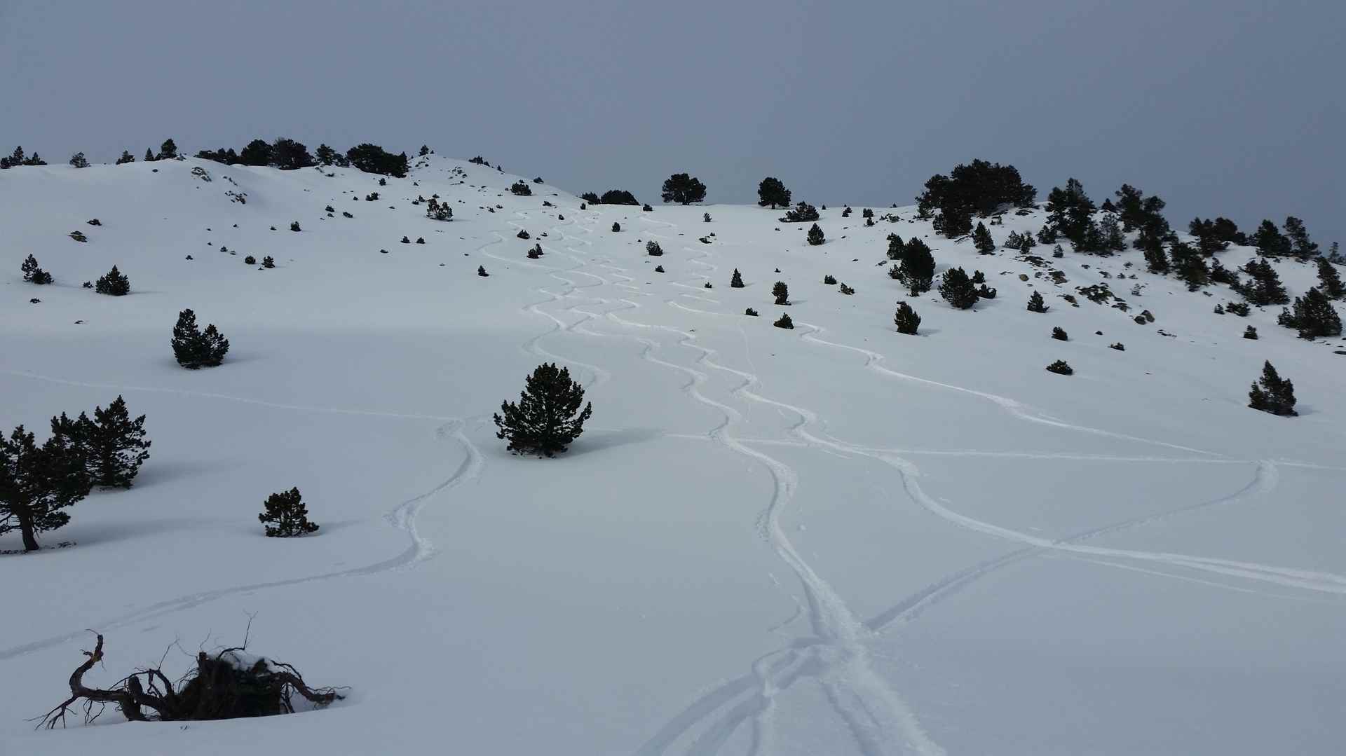 20171216 150735