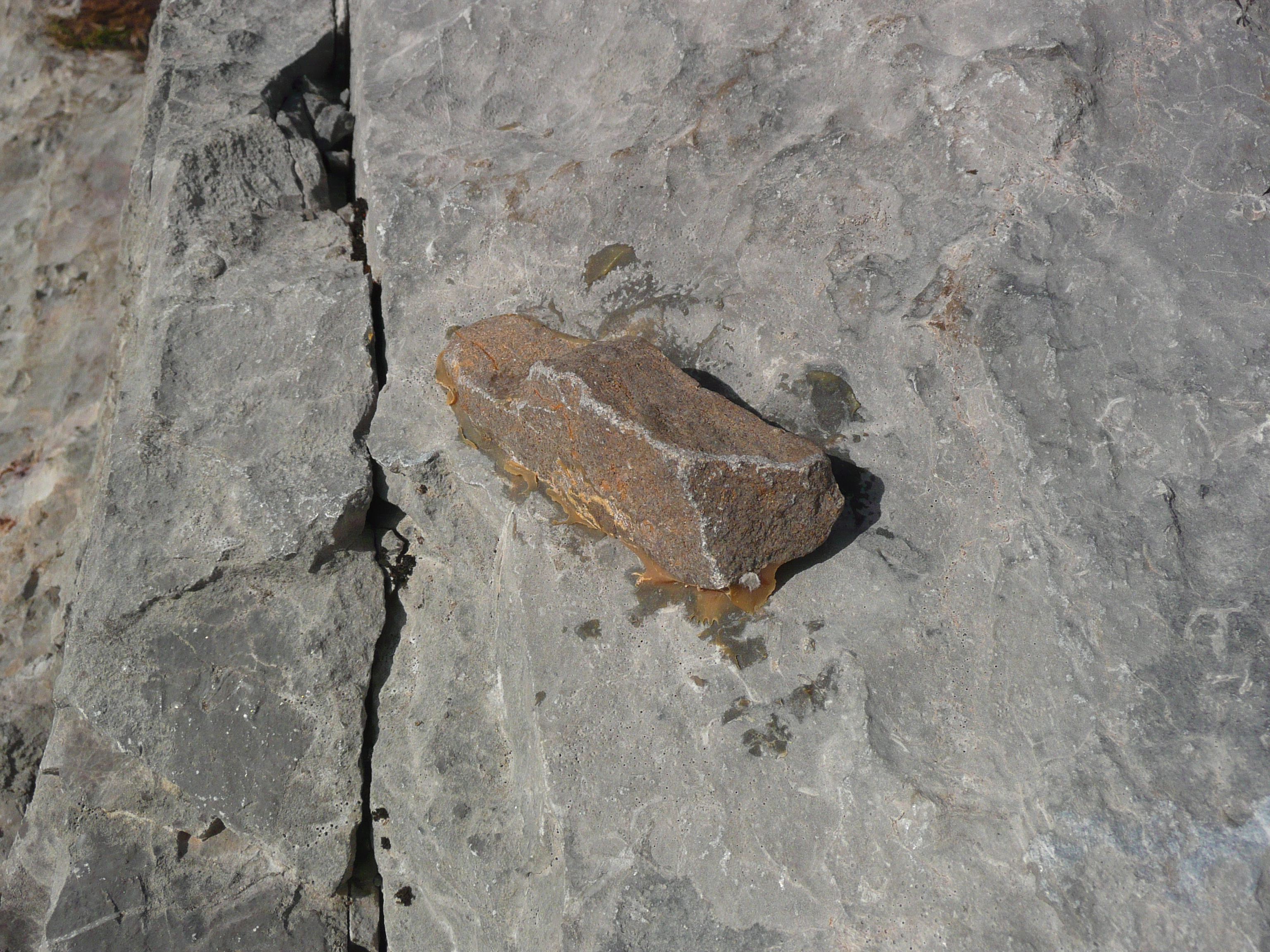 P1150013