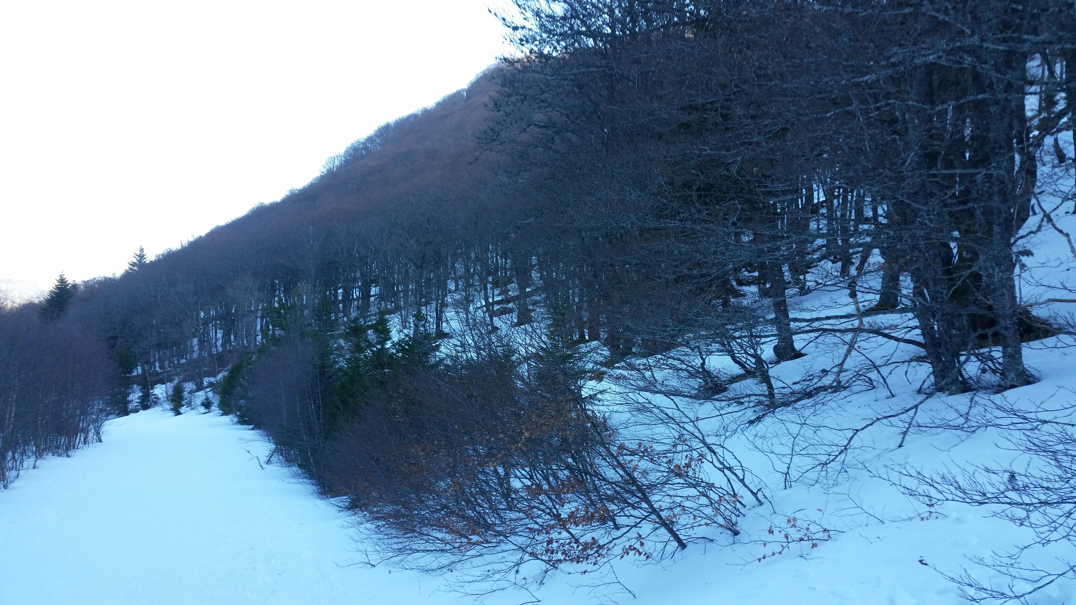 20190221 094801