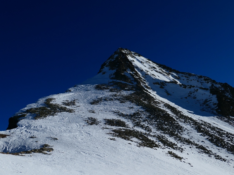 P1040416 800x600