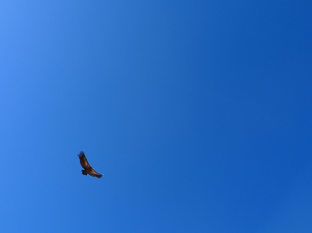 P1060206 1024x767