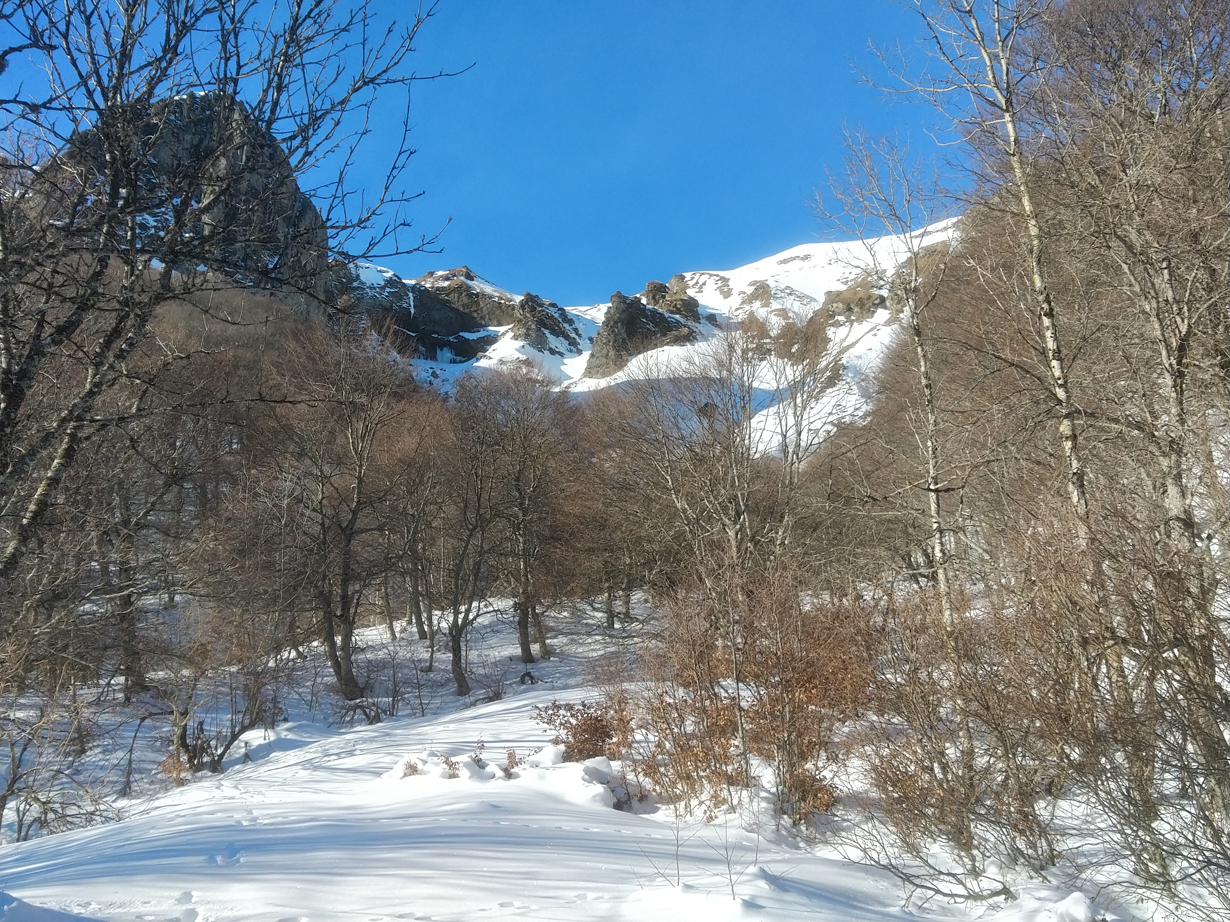 foret couloir aigle