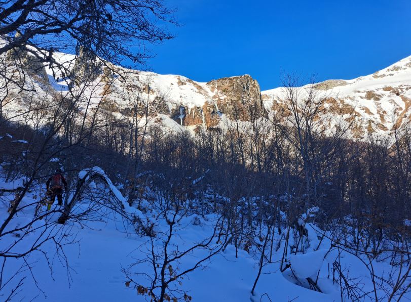 glace foret