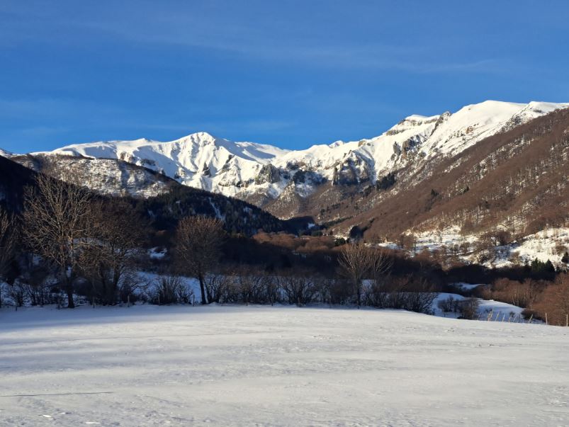 vue densemble