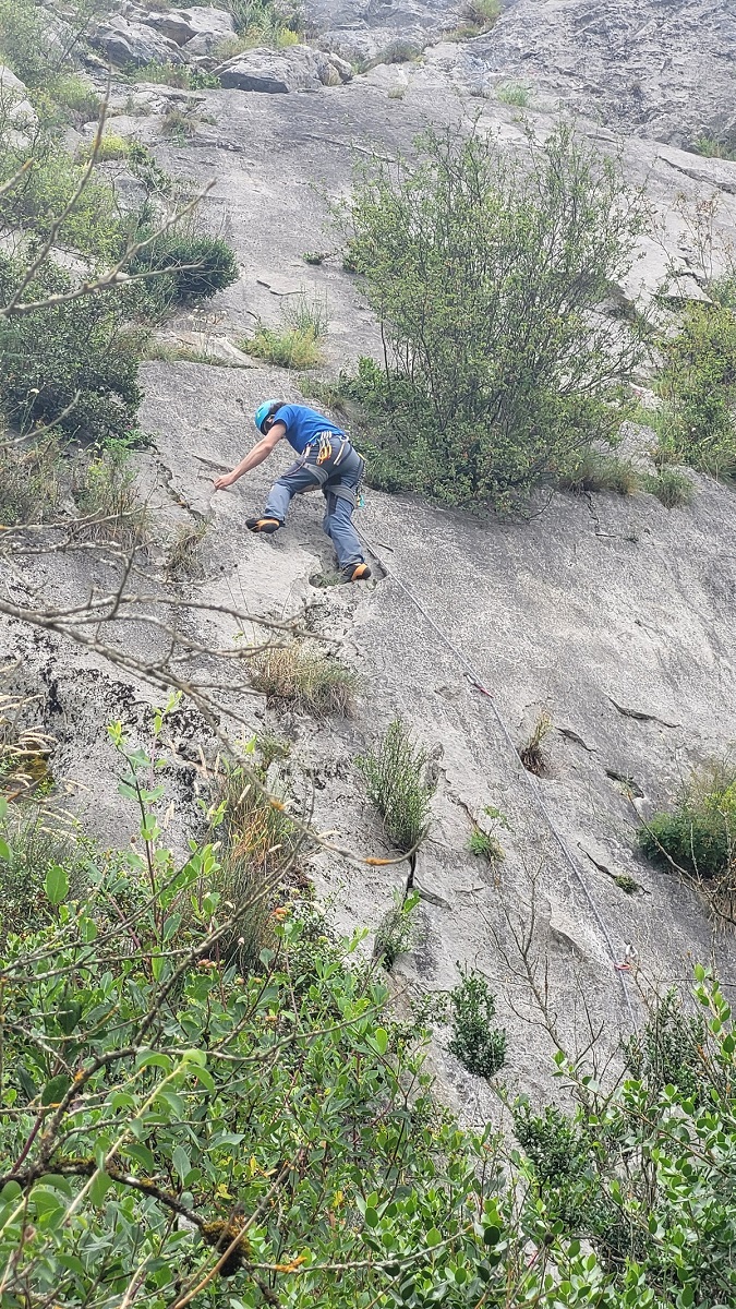 Faustin grimpe sur une falaise, entouré de plantes