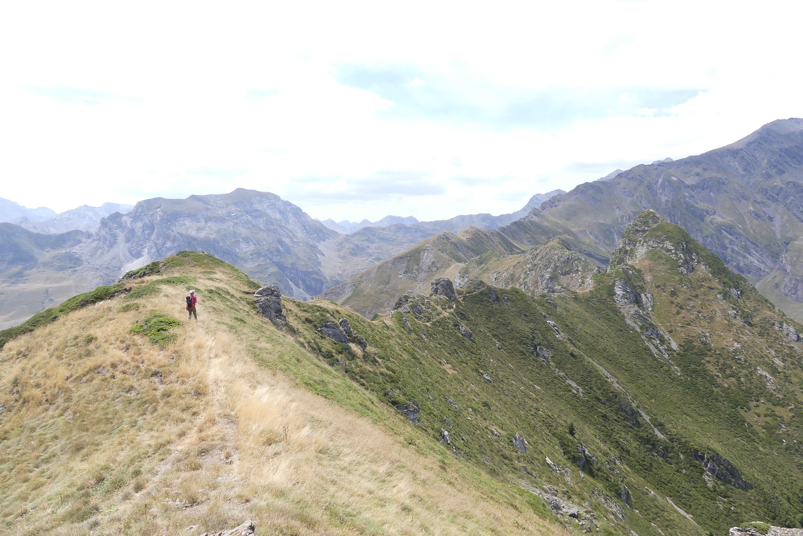 Photo de la crête avec Seb loin devant ; on voit que l'herbe est jaunie sur quelques mètres de large au sommet de la crête.