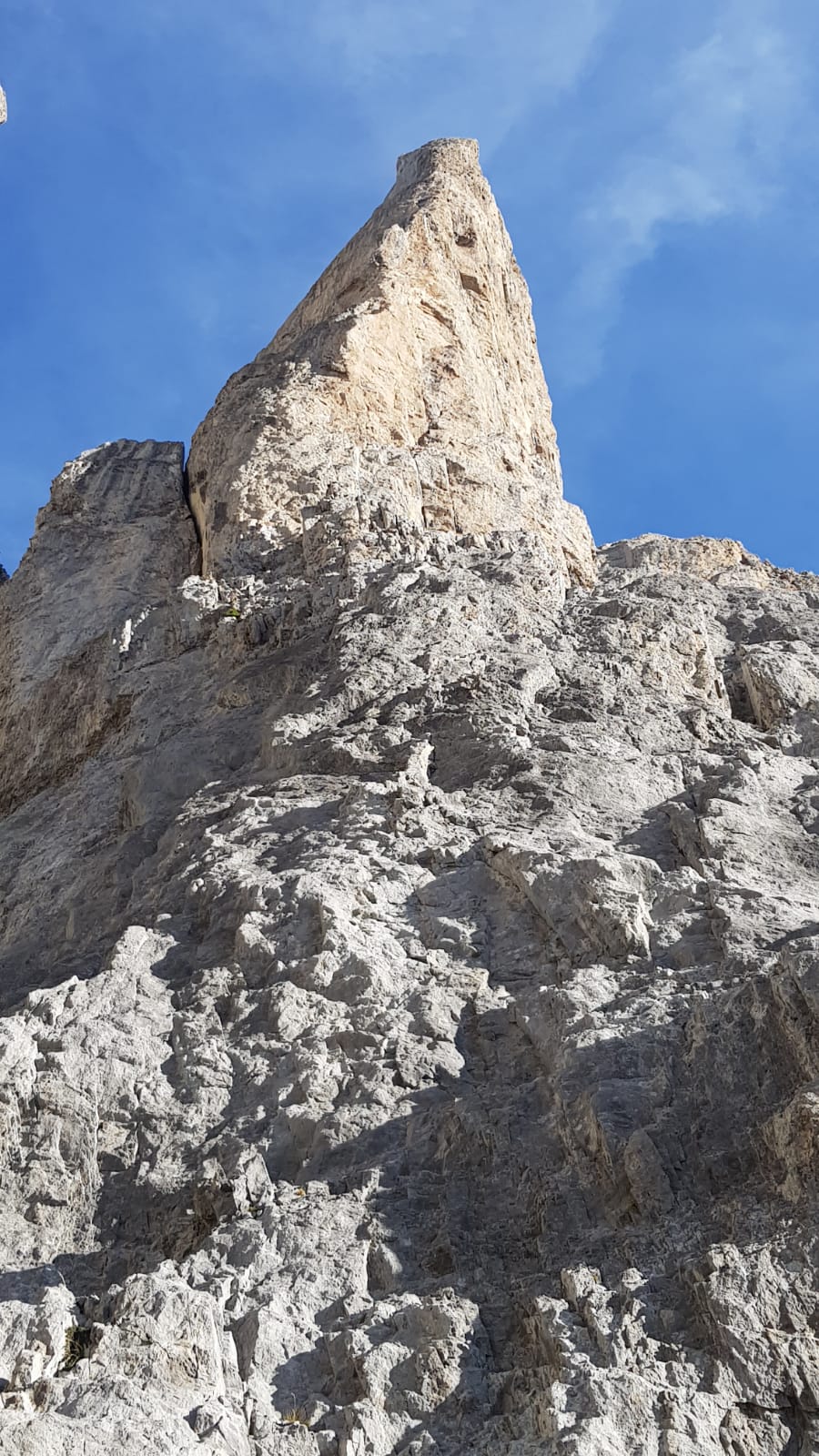 WhatsApp Image 2025 10 19 at 12.12.29 1