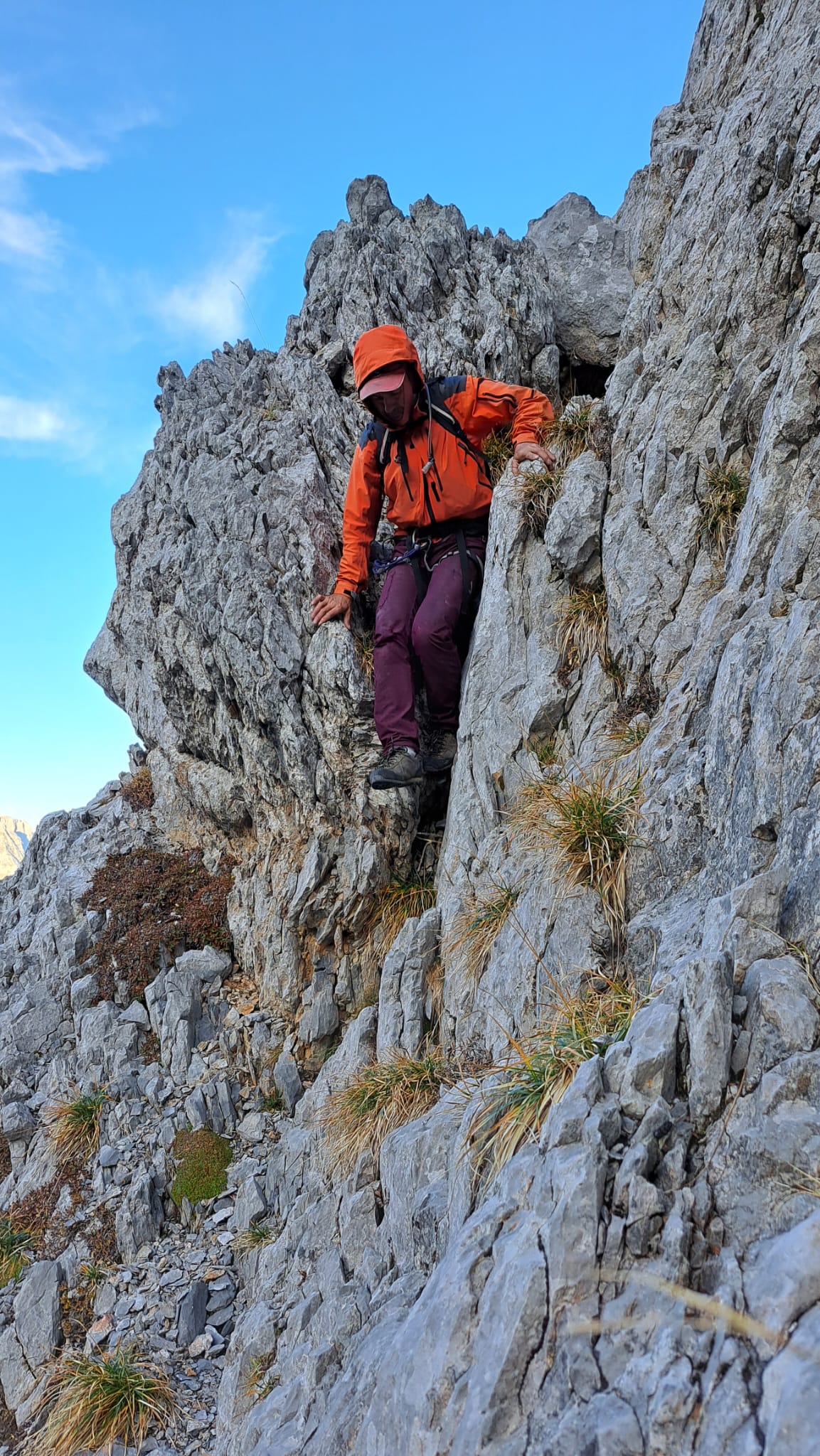 WhatsApp Image 2025 10 19 at 12.12.31 11