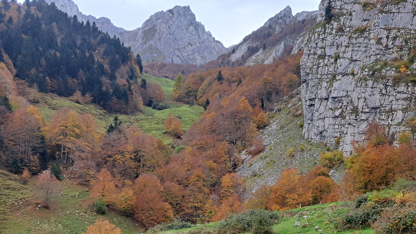 WhatsApp Image 2025 10 19 at 12.12.31 13