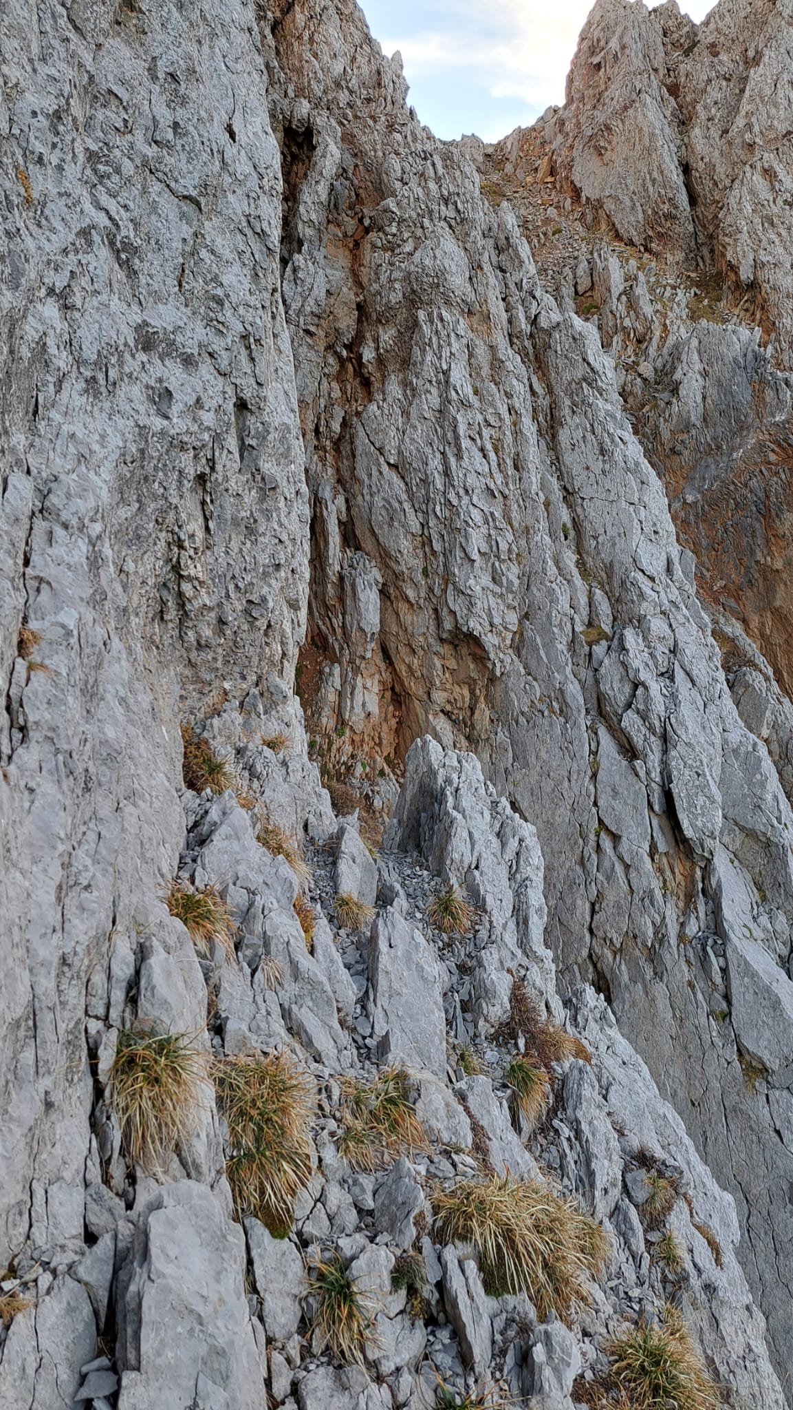 WhatsApp Image 2025 10 19 at 12.12.31 20