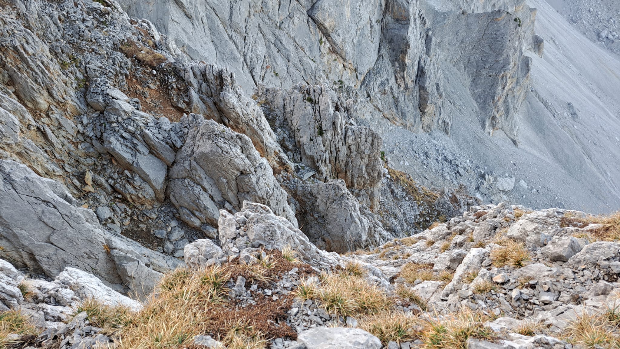 WhatsApp Image 2025 10 19 at 12.12.31 21