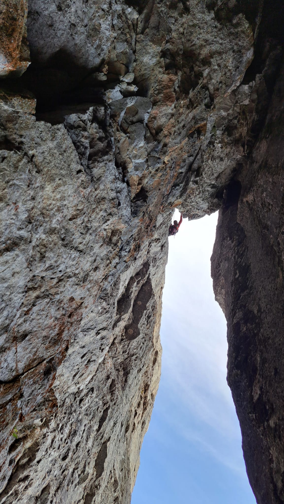 WhatsApp Image 2025 10 19 at 12.12.32 9