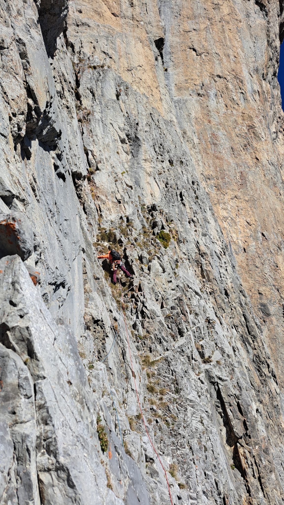 WhatsApp Image 2025 10 19 at 12.12.33 3