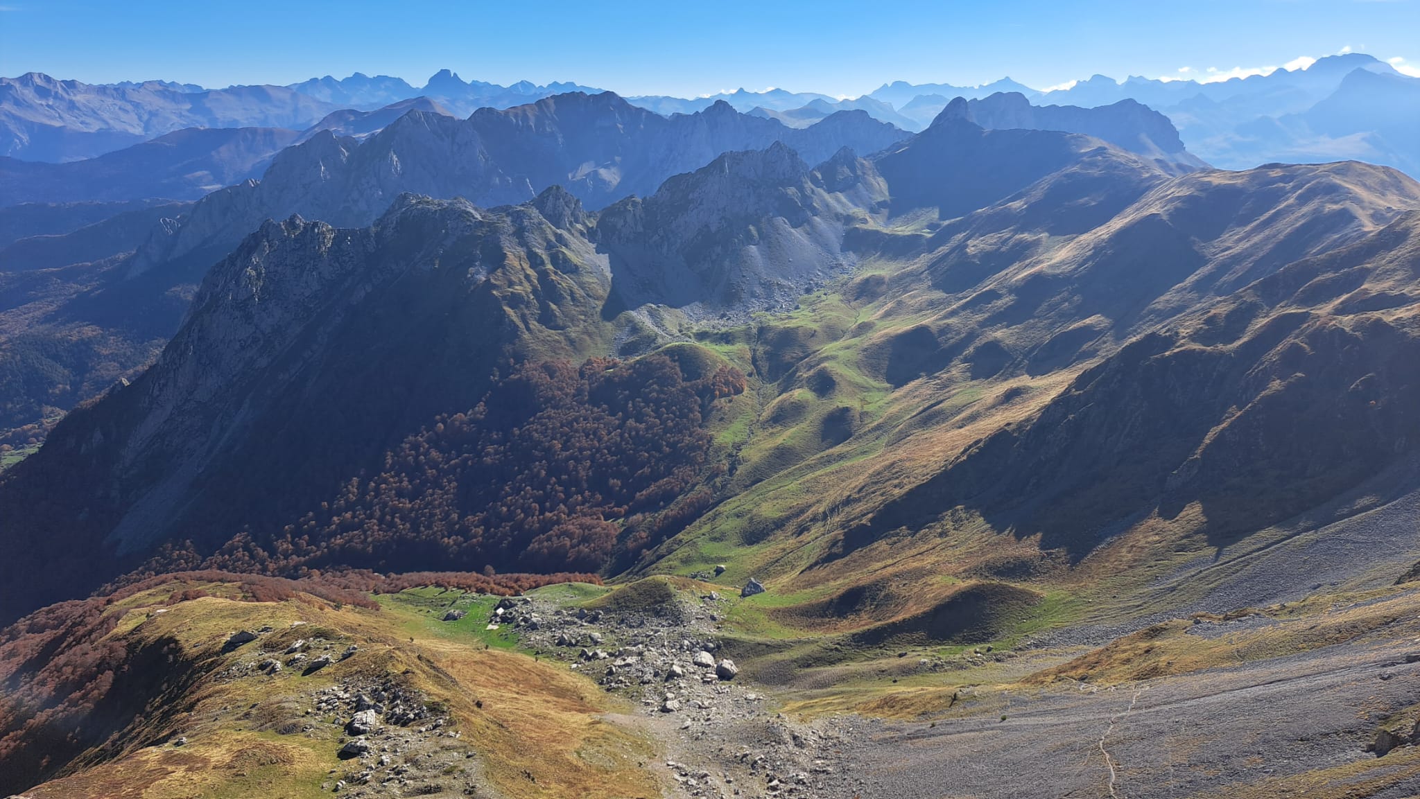 WhatsApp Image 2025 10 19 at 12.12.34 6