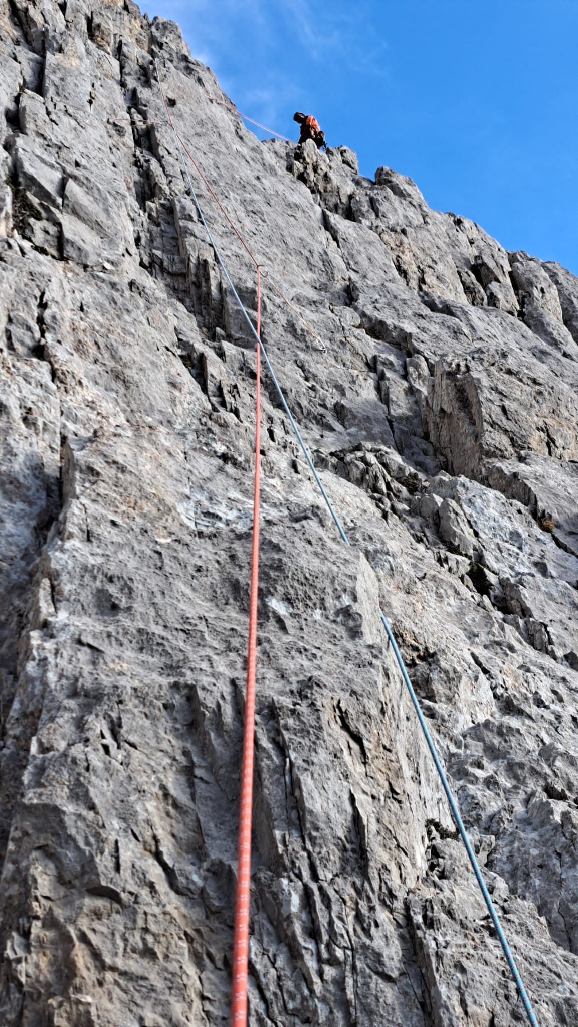 WhatsApp Image 2025 10 19 at 12.12.34 7