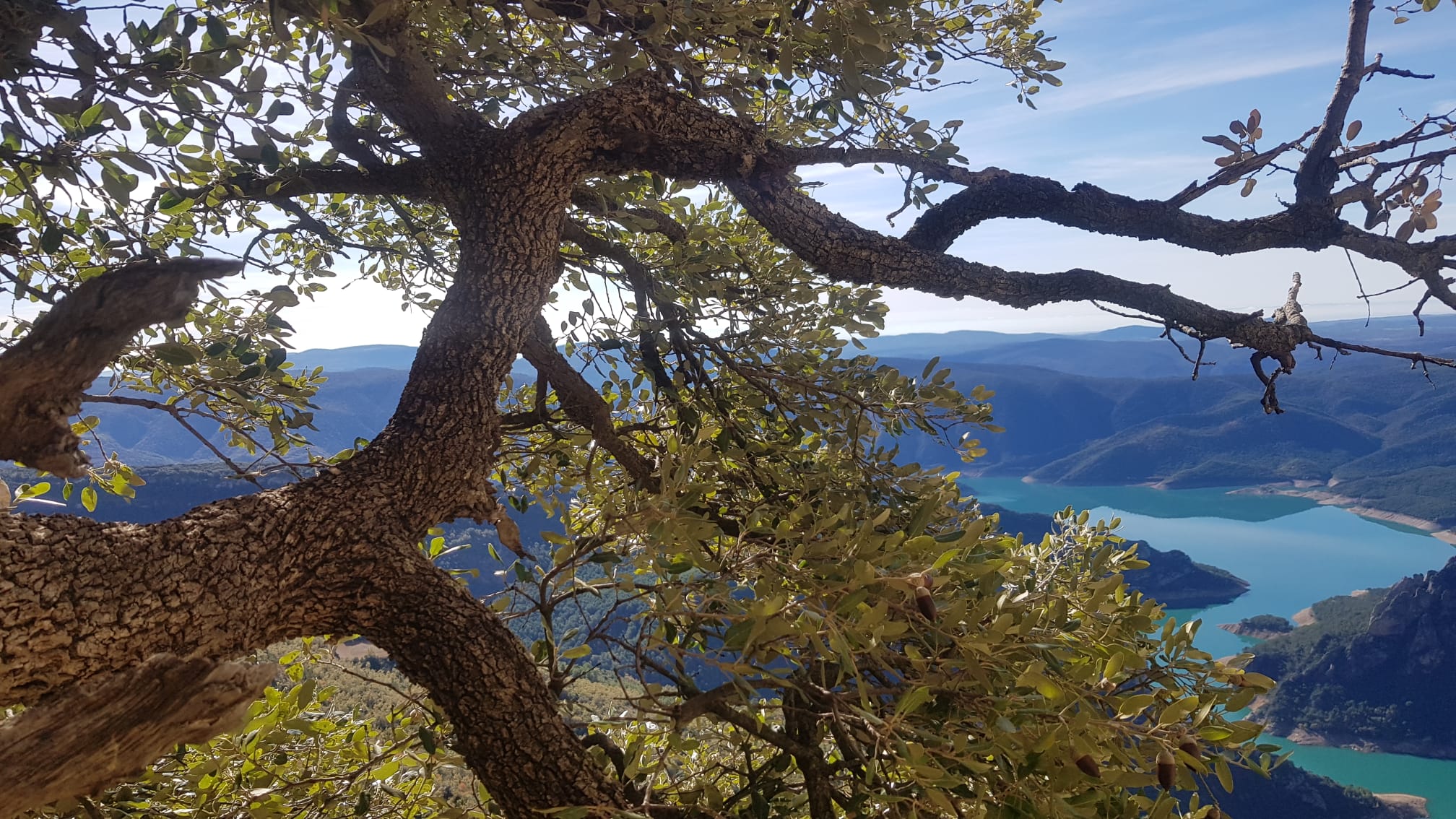 WhatsApp Image 2025 11 11 à 22.01.41 80709076