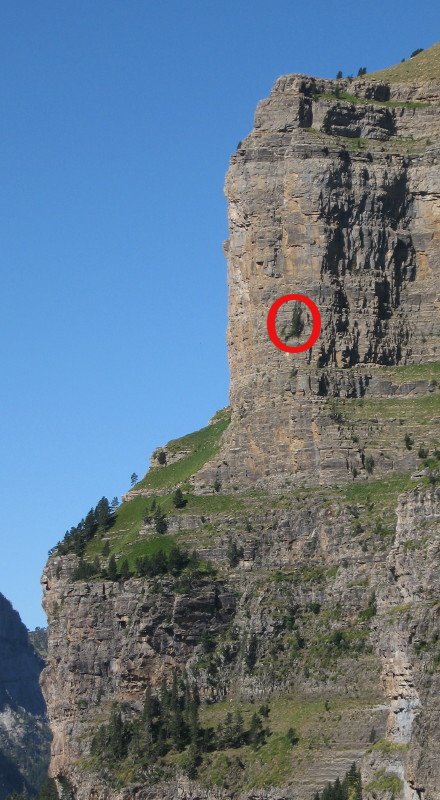 missing image